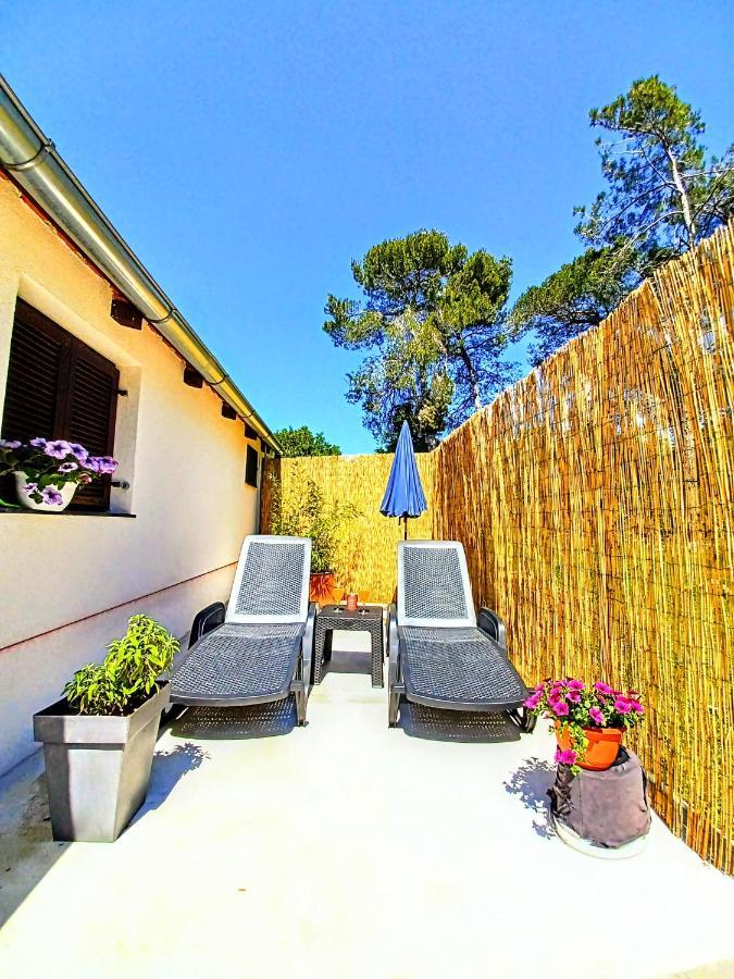 Pampas Studio, Self Check-in